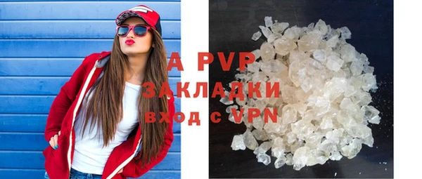гашик Майский