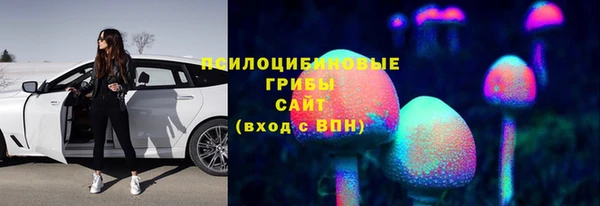 СК Магадан