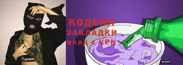 гашик Майский