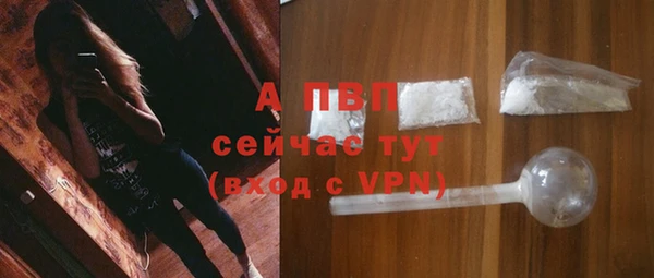 СК Магадан