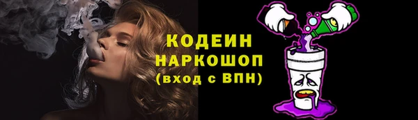 гашик Майский