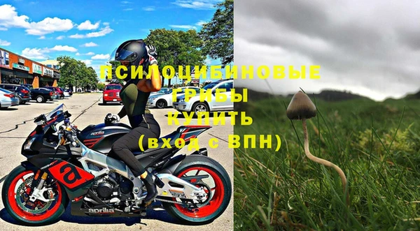 гашик Майский