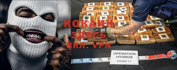 гашик Майский