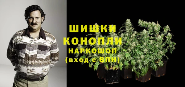 СК Магадан