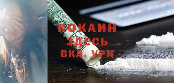 гашик Майский